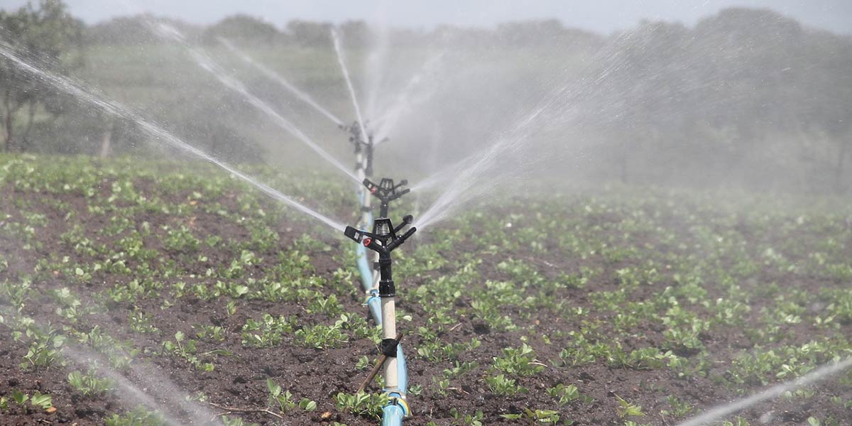 Acqua per irrigazione, una sfida urgente da risolvere